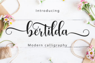 Bertilda Script: A Typeface for Elegant Editorial Design