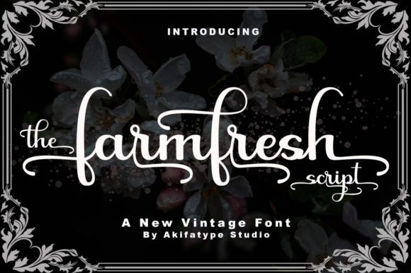 Farmfresh Script: A Bold Typeface for Branding