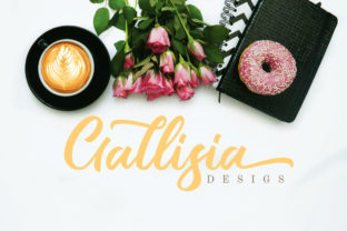 Gallisia Script: A Modern Handwritten Typeface Review