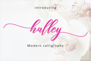 Halley Script: A Romantic Typeface for Modern Brands