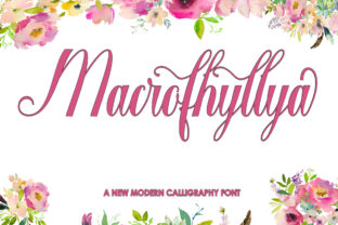 Macrofhyllya Script: A Modern Typeface for Crafters