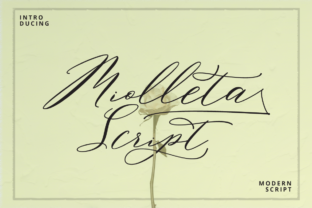 Miolleta Script: A Typeface for Modern Editorial Design