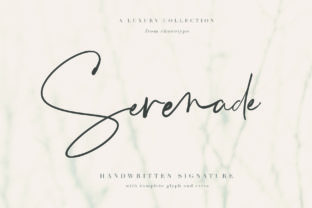 Serenade Script: The Bold Typeface for Campaigns