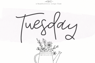 Tuesday Font: A Web Designer’s Review